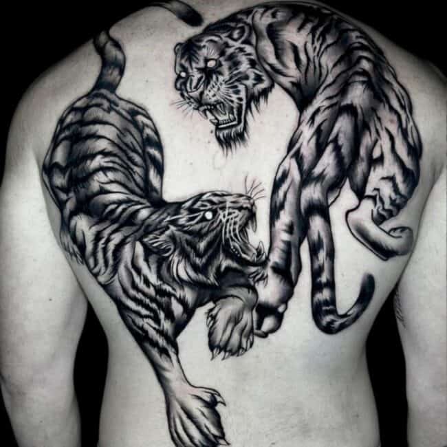 Nicolas Tattoo Artist Animal Traditional Realism Big Tigers Back Tattoo