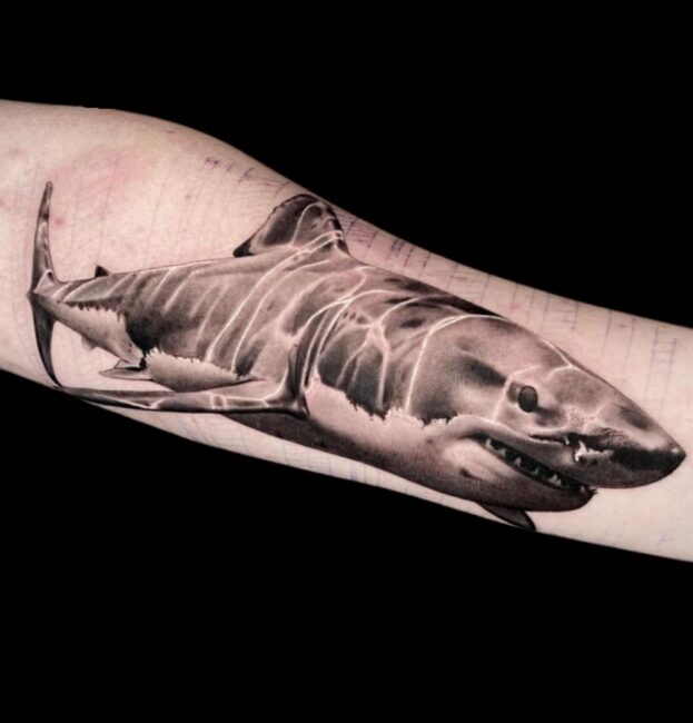 Penno Tattoo Artist Animal Realism Shark Forearm Tattoo