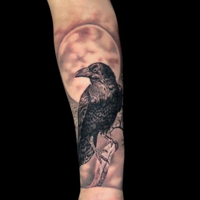 CJ Tattoo Artist Animal Realism Raven Moon Forearm Tattoo