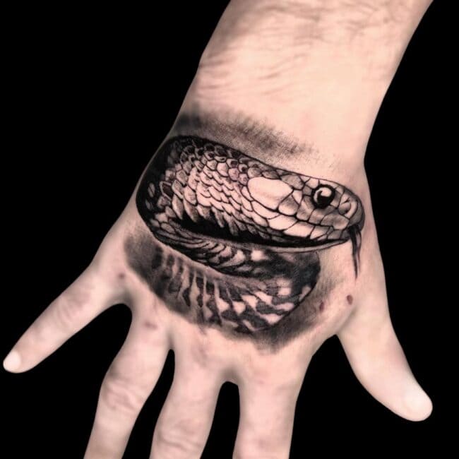 Rafael Zanette Tattoo Artist Black And Grey Realism Animal Snake Hand Tattoo
