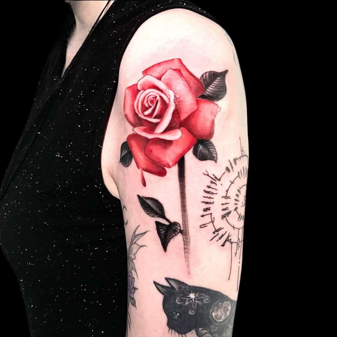 Rafael Zanette Tattoo Artist Colour Semi Realism Red Rose Arm Tattoo