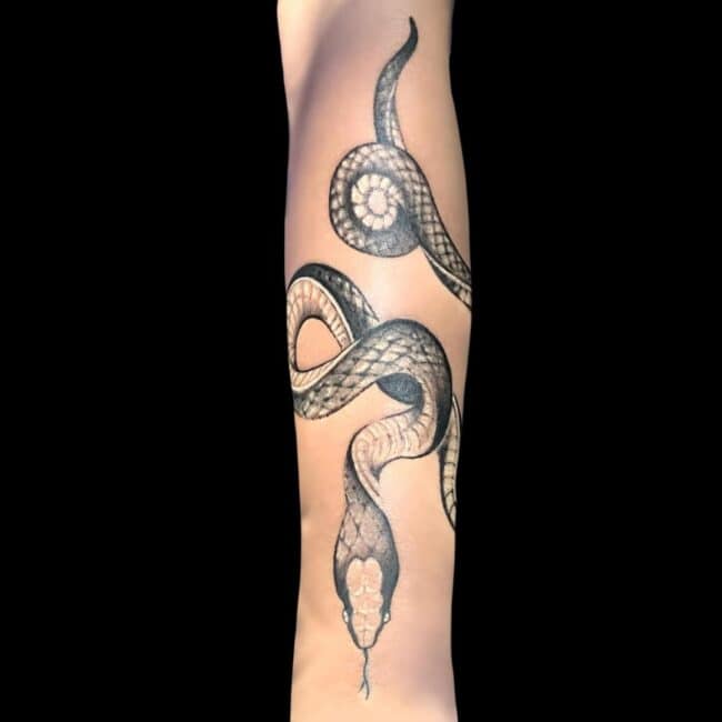 Thor Tattoo Artist Realism Animal Snake Forearm Tattoo