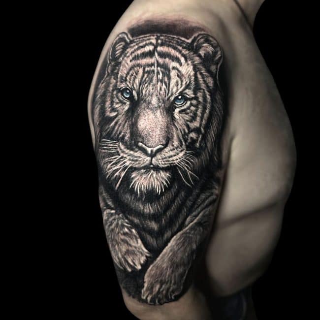 Corey Tattoo Artist Animal Realism Walking Lion Arm Shoulder Tattoo