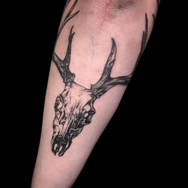 Deer Skull Tattoo