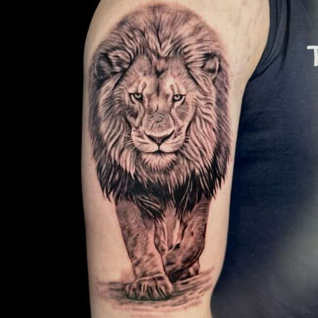 Josh Tattoo Artist Animal Realism Lion Walking Arm Shoulder Tattoo