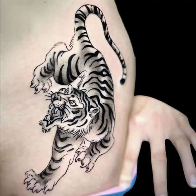 Rafael Tattoo Artist Traditional Stomach Tigers Tattoo