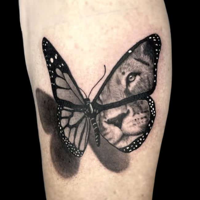 Josh Tattoo Artist Animal Realism Butterfly Lion Shadow Arm Tattoo