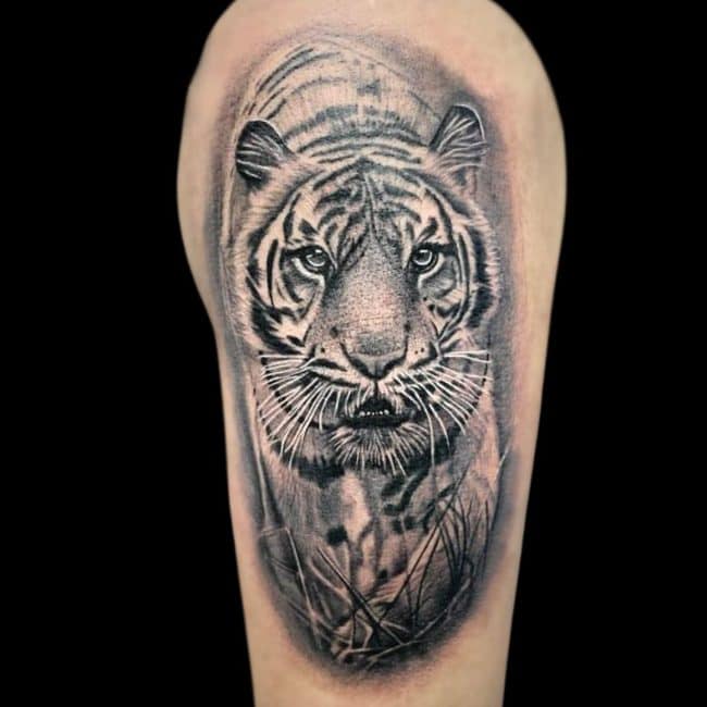 Josh Tattoo Artist Black And Grey Realism Animal Tiger Arm Tattoo