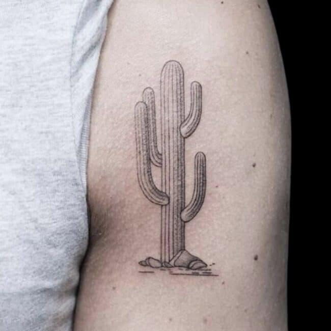 Cactus Fine Line Arm Tattoo