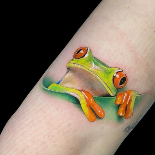 Penno Tattoo Artist Frog Colour Animal Realism Arm Tattoo
