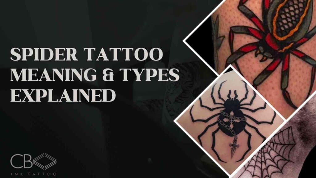 Blog Article Cover Spider Web