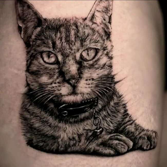 Tattoo Artist Tim Black And Grey Realism Cat Portrait Laying Down Arm Tattoo