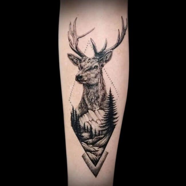 Tattoo Artist Tim Black And Grey Realism Illustrative Stag Deer Forearm Tattoo