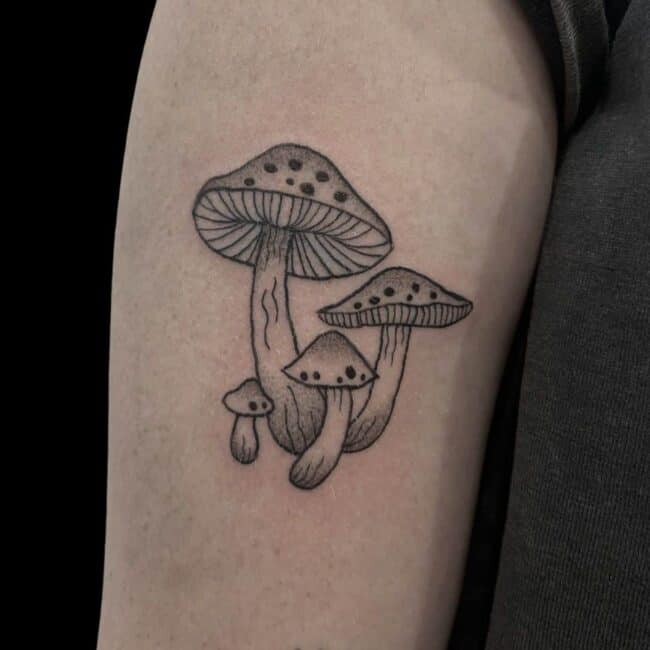 Kenzie Tattoo Artist Fine Line Mushrooms Arm Tattoo