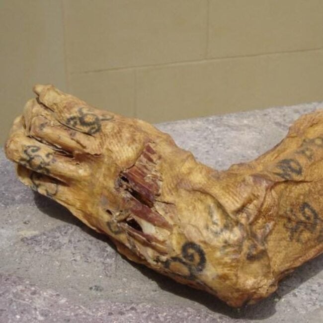 Ancient Mummified Feet and Leg Tattoos