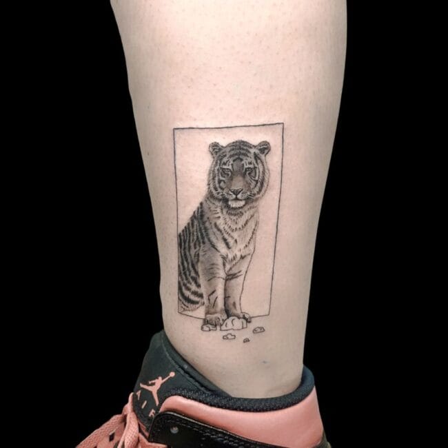 Seb Tattoo Artist Black And Grey Micro Realism Tiger Minimalistic Frame Standing on Stones Stripes Calf Tattoo