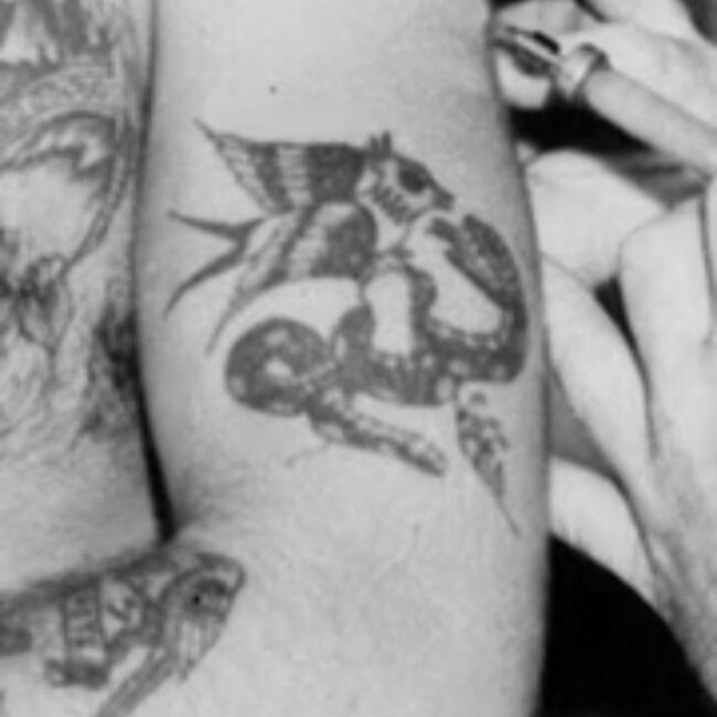Bird Attacking Snake Arm Tattoo