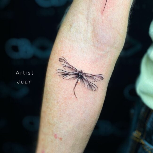 Juan Tattoo Artist Realism Black and Grey Dragonfly Detailed Wings and Dragonfly Body Forearm Tattoo