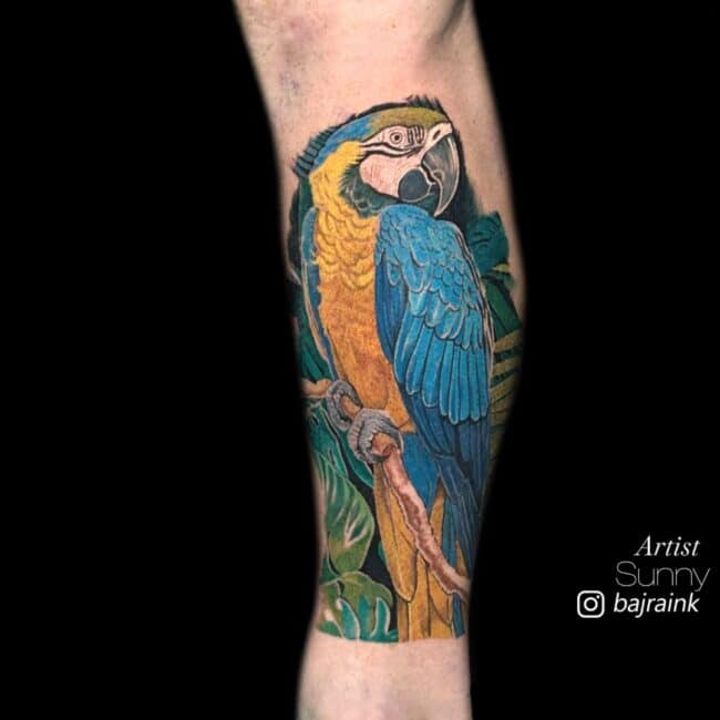 Sunny Tattoo Artist Colour Realism Blue and Yellow Parrot Standing on Branch with Tropical Tree Leaves Background Forearm Tattoo