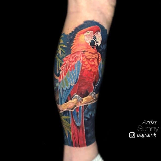 Sunny Tattoo Artist Realism Colour Full Body Blue Red Macaw Standing on Branch with Jungle in the Background Detailed Full Forearm Tattoo