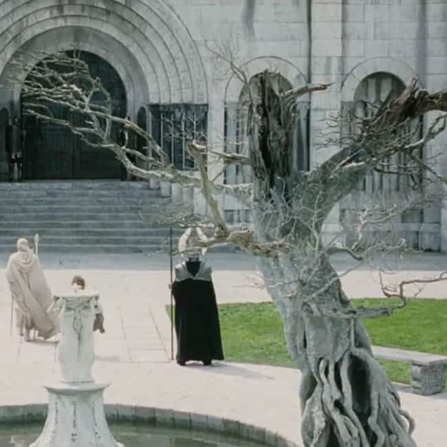 The White Tree of Gondor Image from The Lord of The Rings Movie