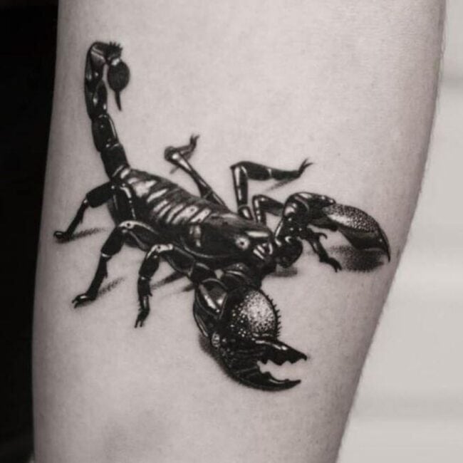 Realism Black and Grey Detailed Full Body Scorpion Pincers Legs Stinger Arm Tattoo