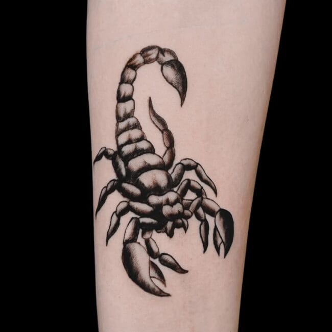 Ben Tattoo Artist Blackwork Full Body Scorpion Sharp Abstract Elements Detailed Pincers Legs Abdomen Stinger Forearm Tattoo