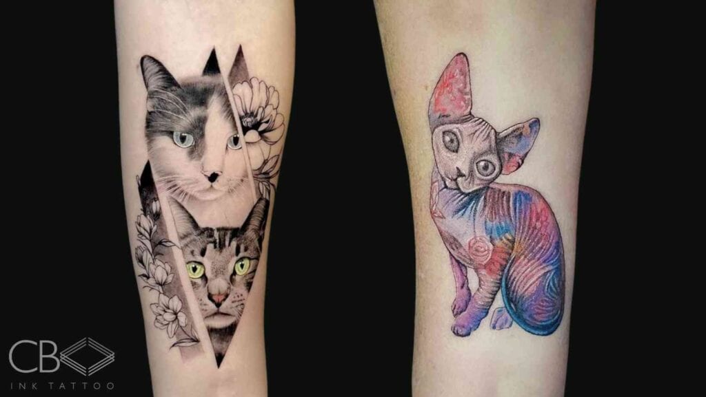 Realism Geometric Neo Traditional Colour Portrait Cat Triangular Frame Floral Element Sphynx Cat Big Eyes Ears Wrinkled Skin with Vibrant Colour Pattern Blog Article Image Cover