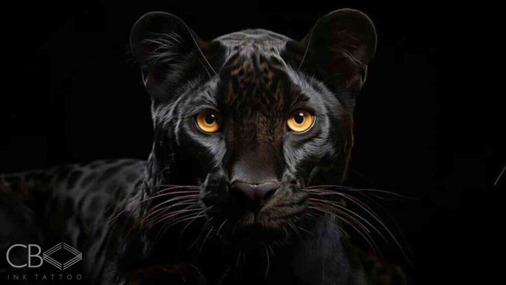 Panther Tattoo Design Ideas Traditional Panther Tattoos And More Blog Article Image Cover
