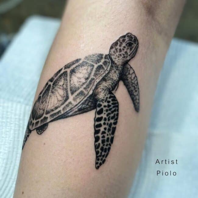 Piolo Tattoo Artist Traditional Black and Grey Fine Line Realism Full Body Sea Turtle Detailed Eye Head Flippers Shell Scutes Forearm Tattoo