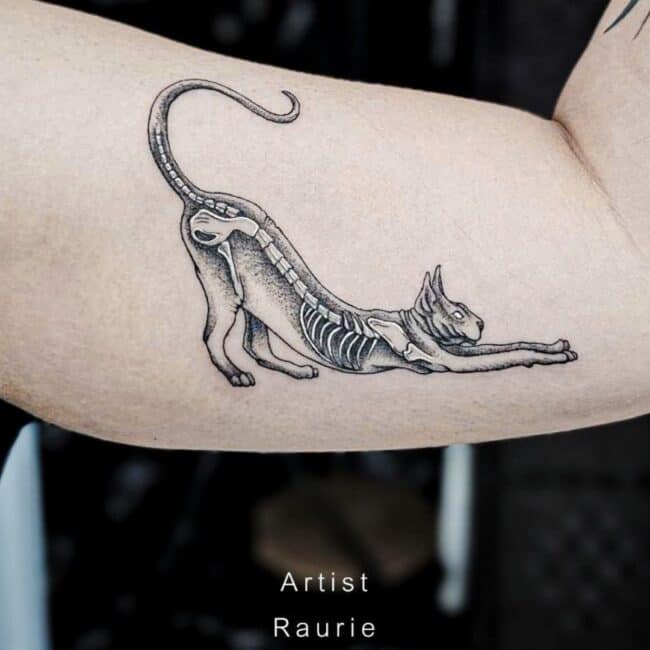 Raurie Tattoo Artist Black and Grey Fine Line Exposed Skeletal Cat Depicted Stretched-Out Position Curved Tail Upwards Side Arm Tattoo
