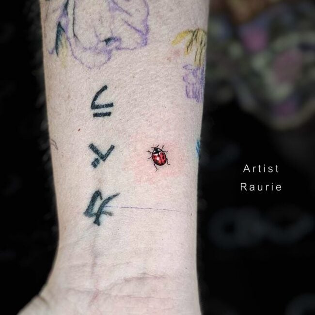 Raurie Tattoo Artist Minimalist Realism Ladybug Head Antenna Eye Pronotum Elytra Legs Wing Dots Forearm Tattoo